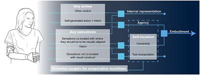 Embodied Cooperation to Promote Forgiving Interactions With Autonomous Machines